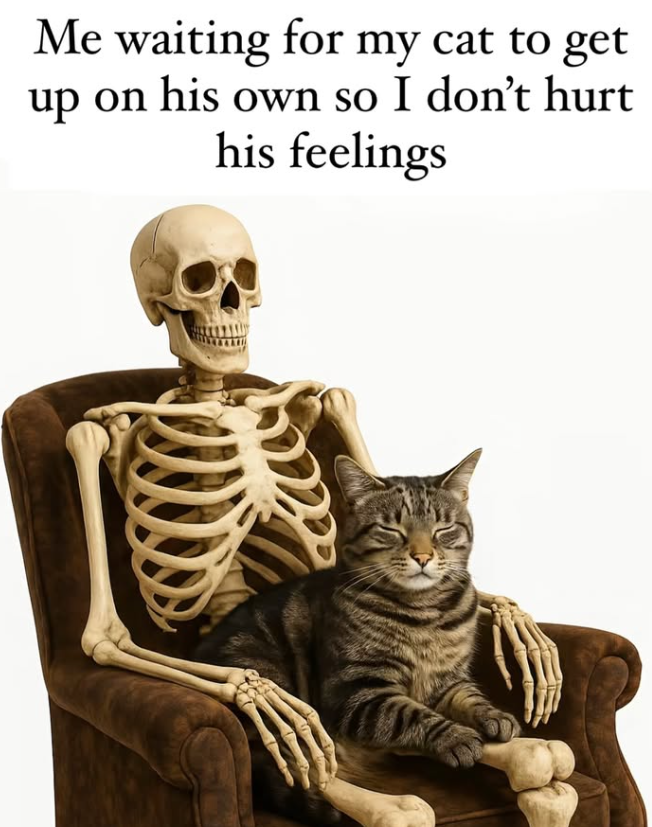 Me waiting for my cat to get up on his own so I don't hurt his feelings