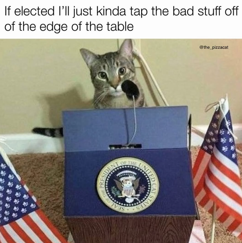 If elected I'll just kinda tap the bad stuff off of the edge of the table PRESIDE OF THE OF THE UNITED CAT STATE @the_pizzacat