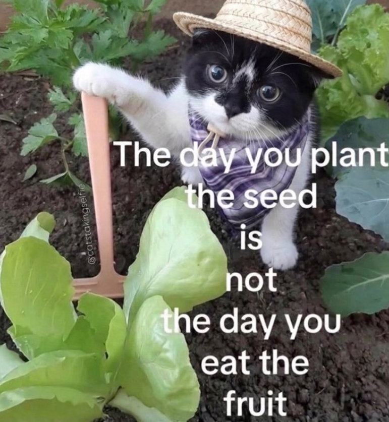@catstakingselfie The day you plant the seed is not the day you eat the fruit