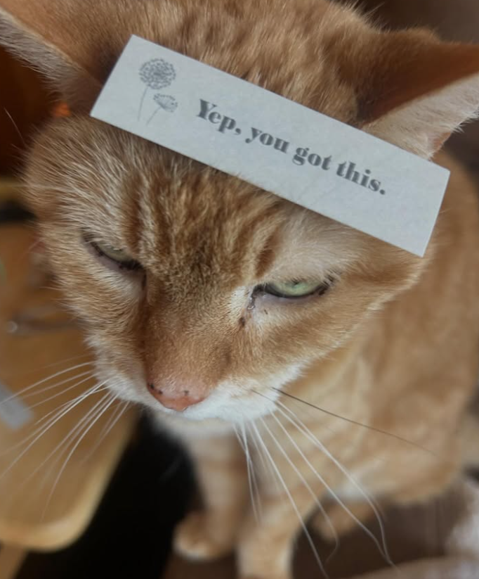 Yep, you got this.