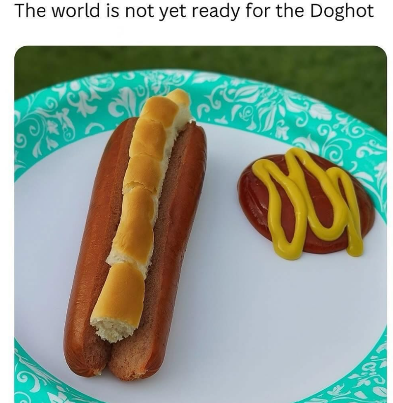 The world is not yet ready for the Doghot