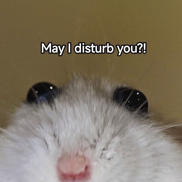 May I disturb you?!