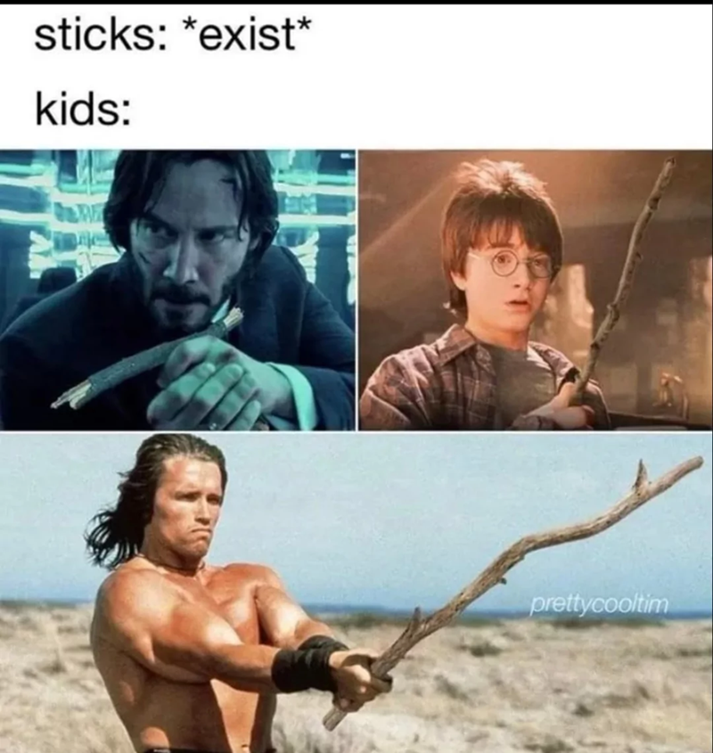 sticks: *exist* kids: prettycooltim