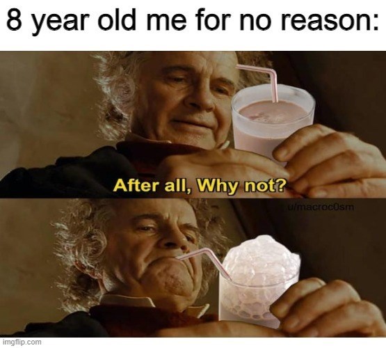 8 year old me for no reason: imgflip.com After all, Why not? u/macrocosm