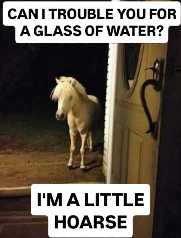 CAN I TROUBLE YOU FOR A GLASS OF WATER? I'M A LITTLE HOARSE