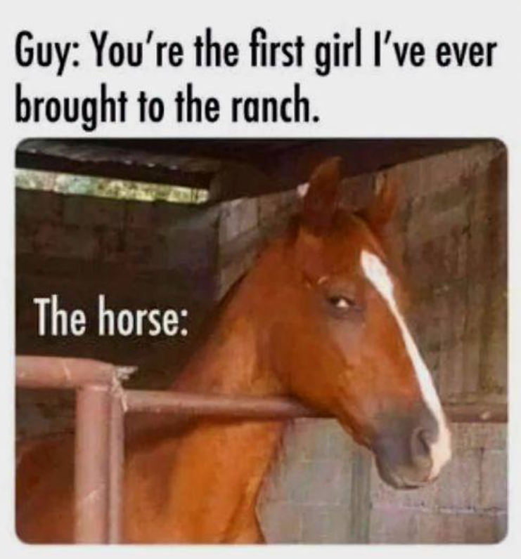Guy: You're the first girl I've ever brought to the ranch. The horse: