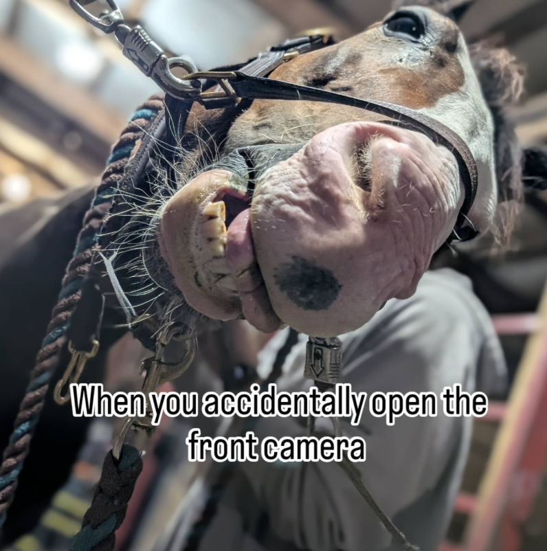 When you accidentally open the front camera