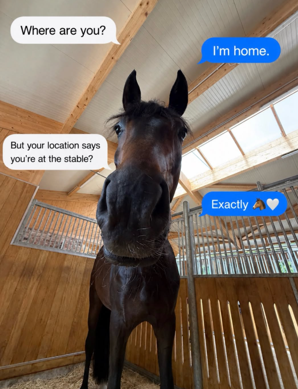 Where are you? But your location says you're at the stable? I'm home. Exactly