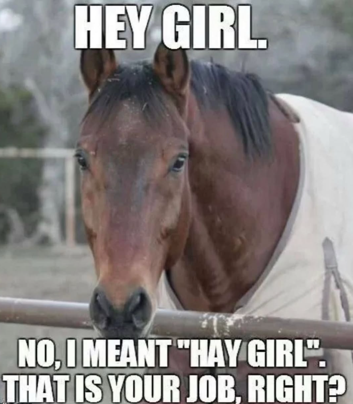 HEY GIRL. NO, I MEANT "HAY GIRL". THAT IS YOUR JOB, RIGHT?