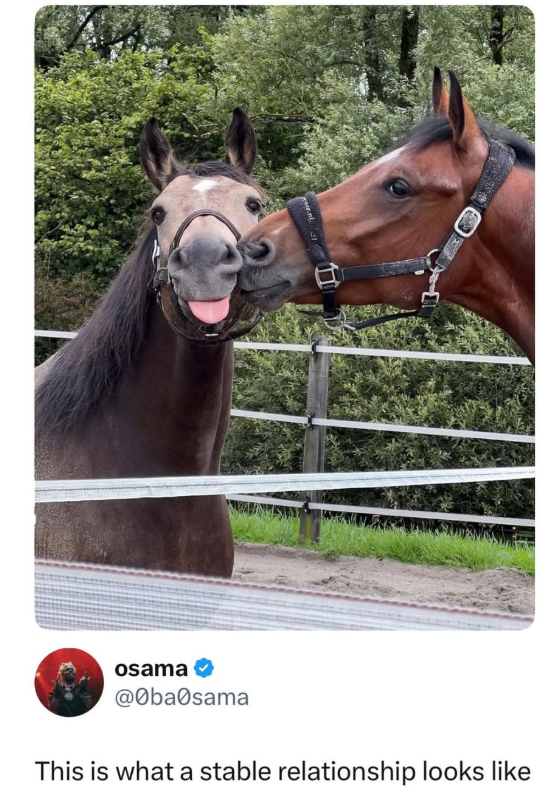 osama @0ba0sama This is what a stable relationship looks like