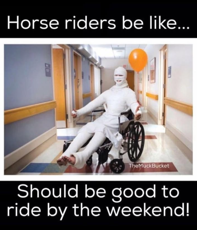 Horse riders be like... TheMuckBucket Should be good to ride by the weekend!