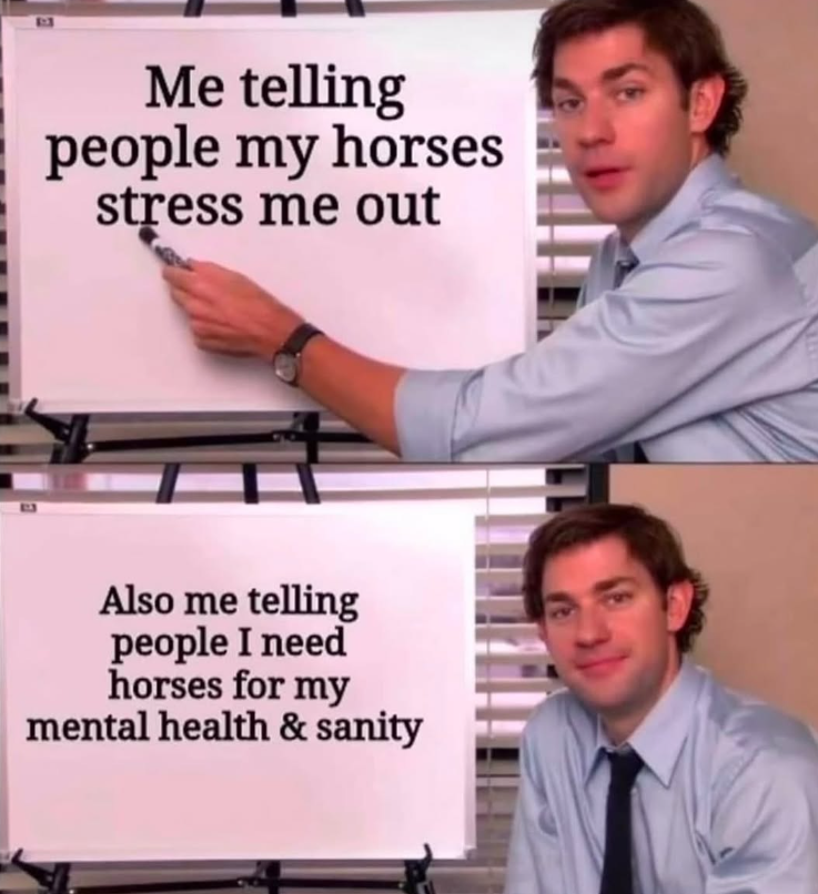 Me telling people my horses stress me out Also me telling people I need horses for my mental health & sanity