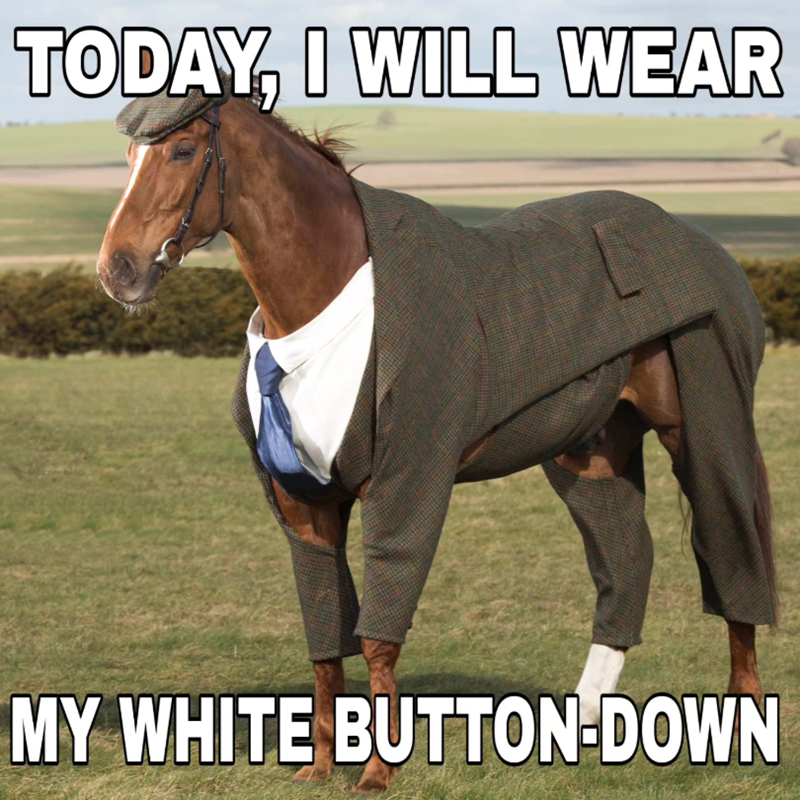 TODAY, I WILL WEAR MY WHITE BUTTON-DOWN