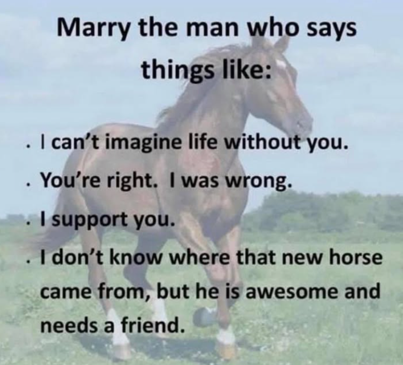 Marry the man who says things like: . I can't imagine life without you. . You're right. I was wrong. . I support you. . I don't know where that new horse came from, but he is awesome and needs a friend.