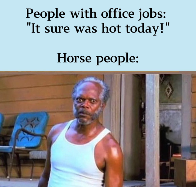 People with office jobs: "It sure was hot today!" Horse people:
