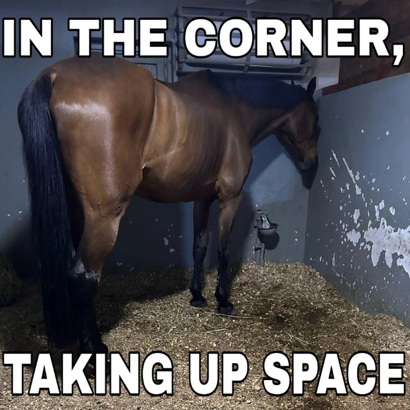 IN THE CORNER, TAKING UP SPACE
