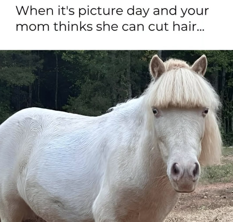 When it's picture day and your mom thinks she can cut hair...