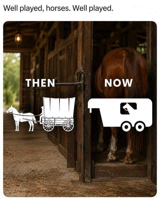 Well played, horses. Well played. THEN NOW