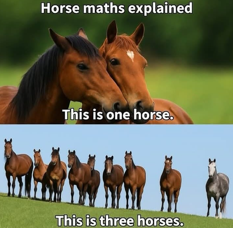 Horse maths explained This is one horse. This is three horses.