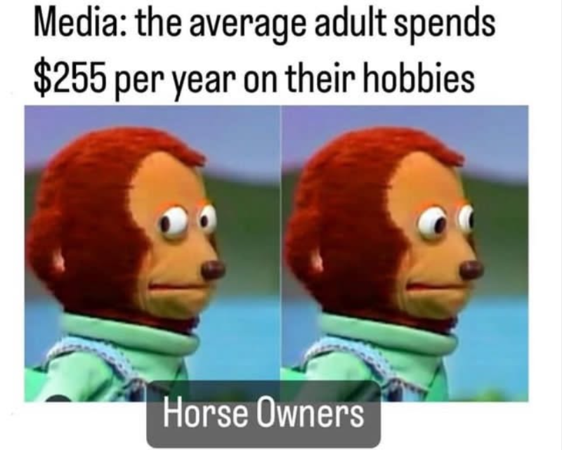 Media: the average adult spends $255 per year on their hobbies Horse Owners