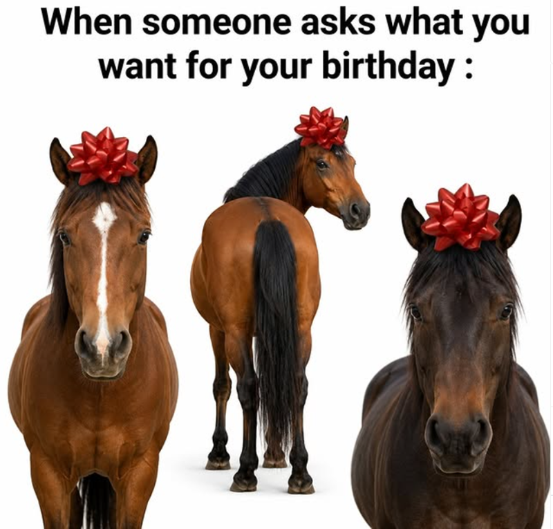 When someone asks what you want for your birthday :