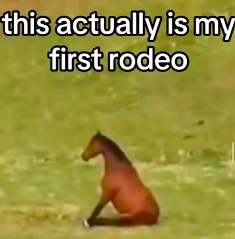 this actually is my first rodeo