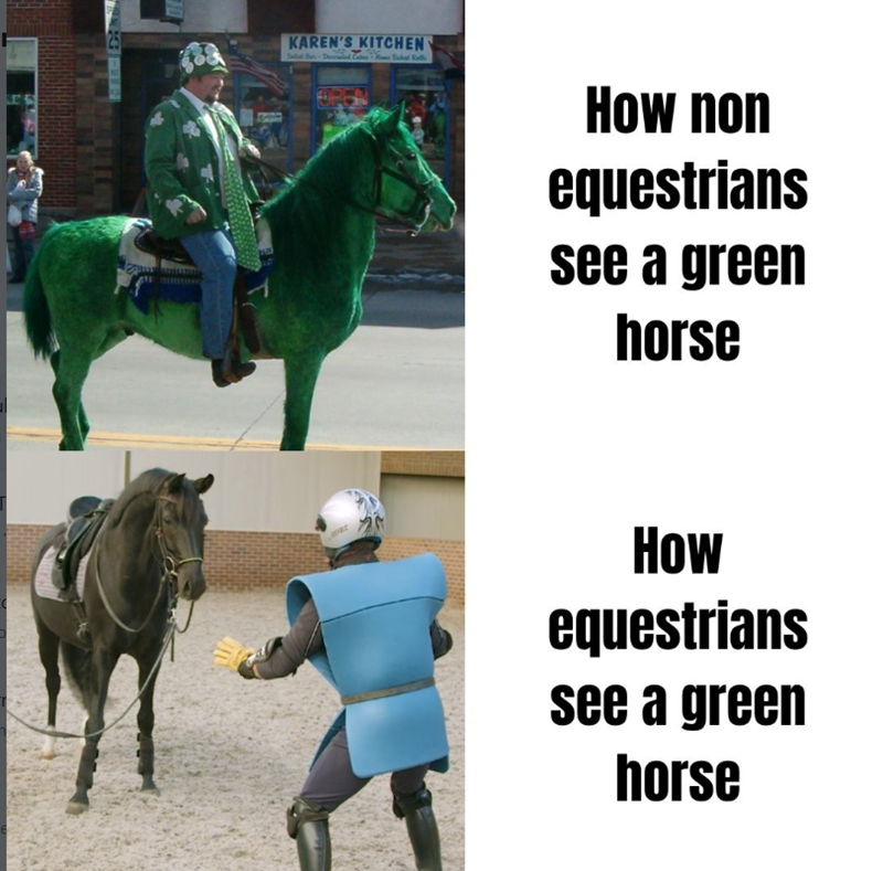 KAREN'S KITCHEN Home Bakal Rall How non equestrians see a green horse How equestrians see a green horse