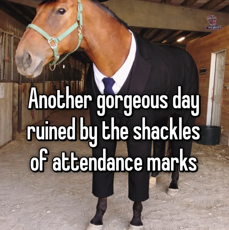 Another gorgeous day ruined by the shackles of attendance marks HIME PREF MYSELF