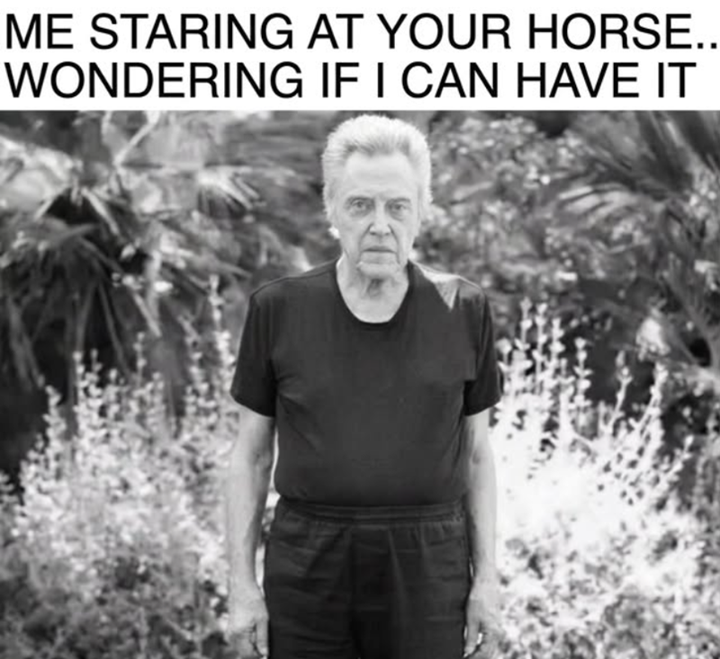 ME STARING AT YOUR HORSE.. WONDERING IF I CAN HAVE IT