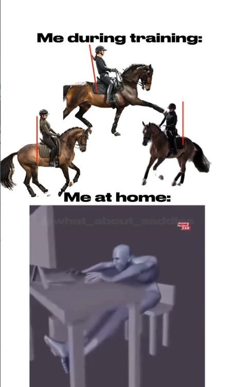 Me during training: Me at home: what_about_saddl