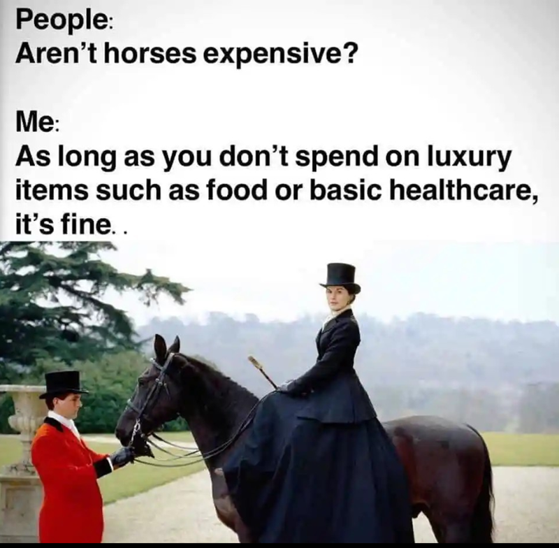 People: Aren't horses expensive? Me: As long as you don't spend on luxury items such as food or basic healthcare, it's fine..