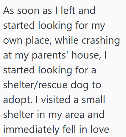 As soon as I left and started looking for my own place, while crashing at my parents' house, I started looking for a shelter/rescue dog to adopt. I visited a small shelter in my area and immediately fell in love