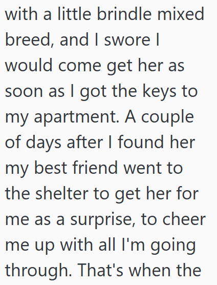 with a little brindle mixed breed, and I swore I would come get her as soon as I got the keys to my apartment. A couple of days after I found her my best friend went to the shelter to get her for me as a surprise, to cheer me up with all I'm going through. That's when the