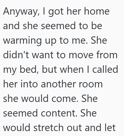 Anyway, I got her home and she seemed to be warming up to me. She didn't want to move from my bed, but when I called her into another room she would come. She seemed content. She would stretch out and let