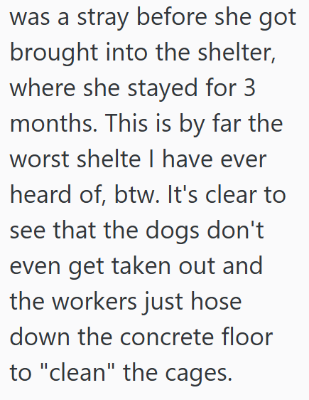 was a stray before she got brought into the shelter, where she stayed for 3 months. This is by far the worst shelte I have ever heard of, btw. It's clear to see that the dogs don't even get taken out and the workers just hose down the concrete floor to "clean" the cages.