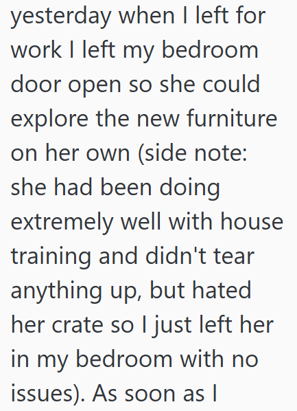 yesterday when I left for work I left my bedroom door open so she could explore the new furniture on her own (side note: she had been doing extremely well with house training and didn't tear anything up, but hated her crate so I just left her in my bedroom with no issues). As soon as I