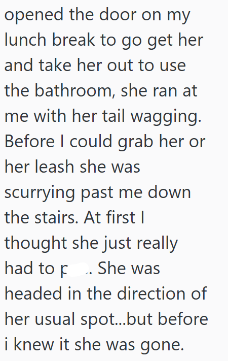 opened the door on my lunch break to go get her and take her out to use the bathroom, she ran at me with her tail wagging. Before I could grab her or her leash she was scurrying past me down the stairs. At first I thought she just really had to p. She was headed in the direction of her usual spot...but before i knew it she was gone.