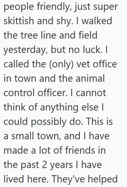 people friendly, just super skittish and shy. I walked the tree line and field yesterday, but no luck. I called the (only) vet office in town and the animal control officer. I cannot think of anything else I could possibly do. This is a small town, and I have made a lot of friends in the past 2 years I have lived here. They've helped