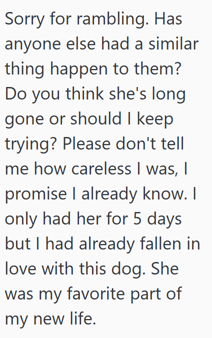 Sorry for rambling. Has anyone else had a similar thing happen to them? Do you think she's long gone or should I keep trying? Please don't tell me how careless I was, I promise I already know. I only had her for 5 days but I had already fallen in love with this dog. She was my favorite part of my new life.