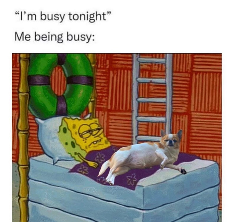 "I'm busy tonight" Me being busy: &3