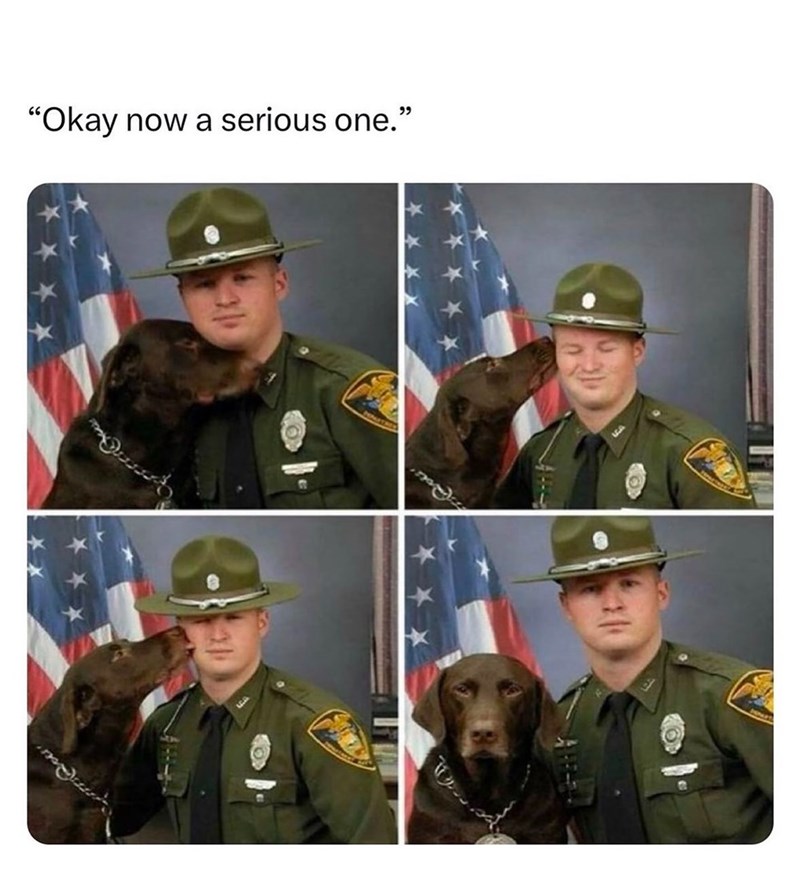 "Okay now a serious one."