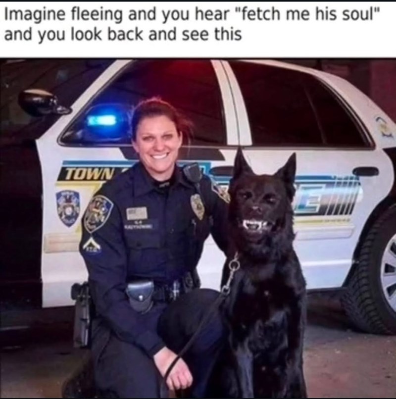 Imagine fleeing and you hear "fetch me his soul" and you look back and see this TOWN E