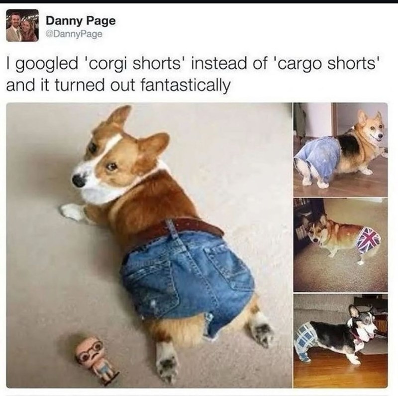 Danny Page @DannyPage I googled 'corgi shorts' instead of 'cargo shorts' and it turned out fantastically