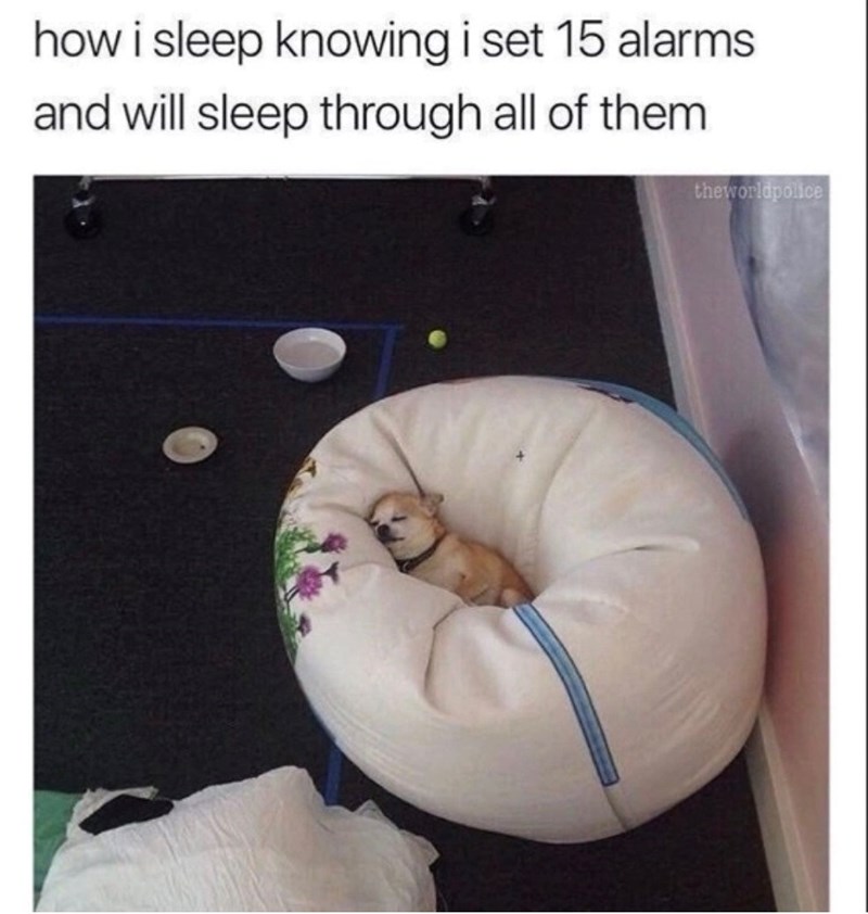 how i sleep knowing i set 15 alarms and will sleep through all of them theworldpolice