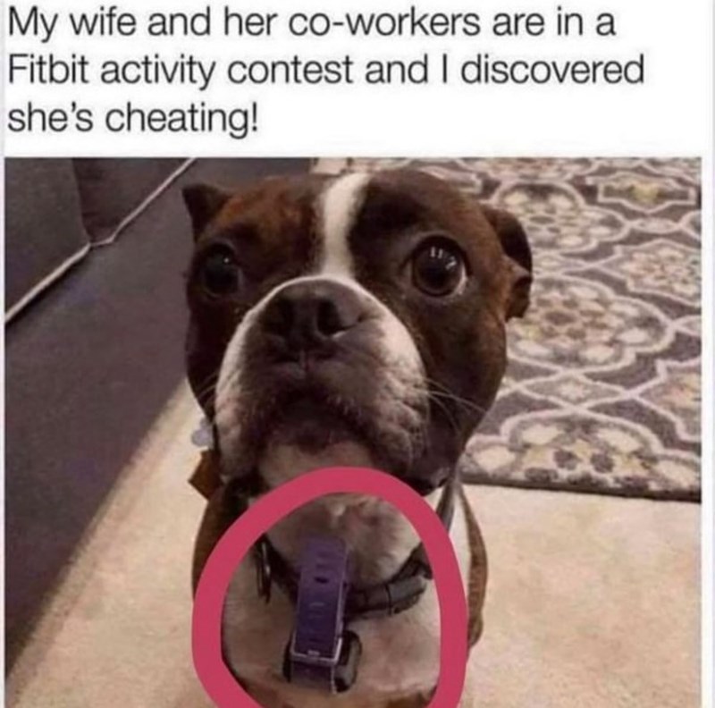 My wife and her co-workers are in a Fitbit activity contest and I discovered she's cheating!
