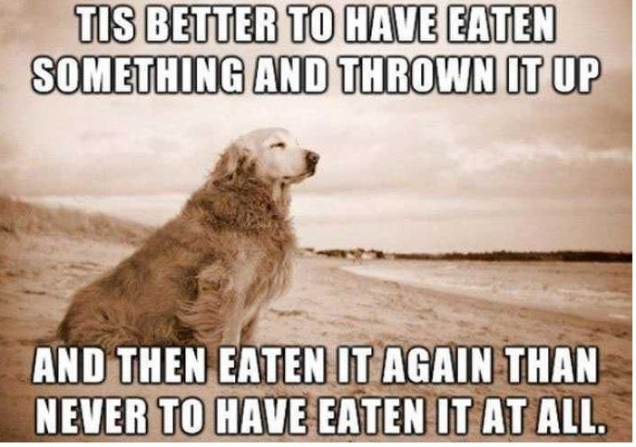 TIS BETTER TO HAVE EATEN SOMETHING AND THROWN IT UP AND THEN EATEN IT AGAIN THAN NEVER TO HAVE EATEN IT AT ALL.