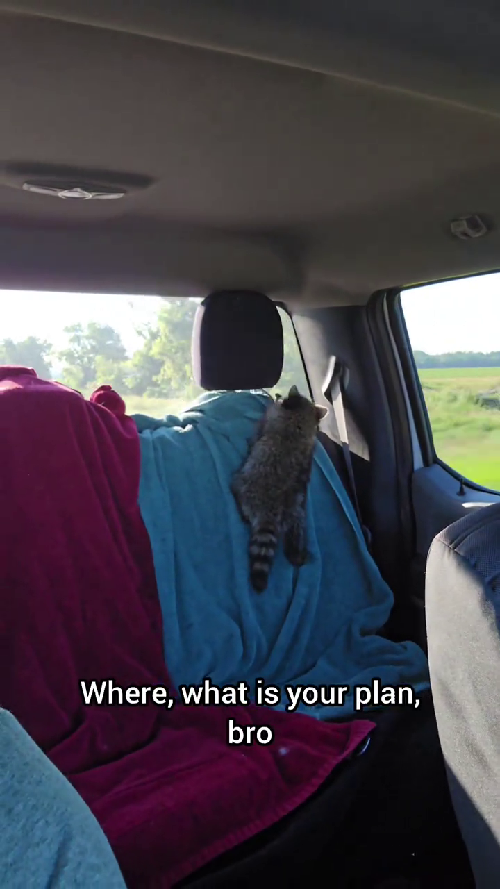 Where, what is your plan, bro