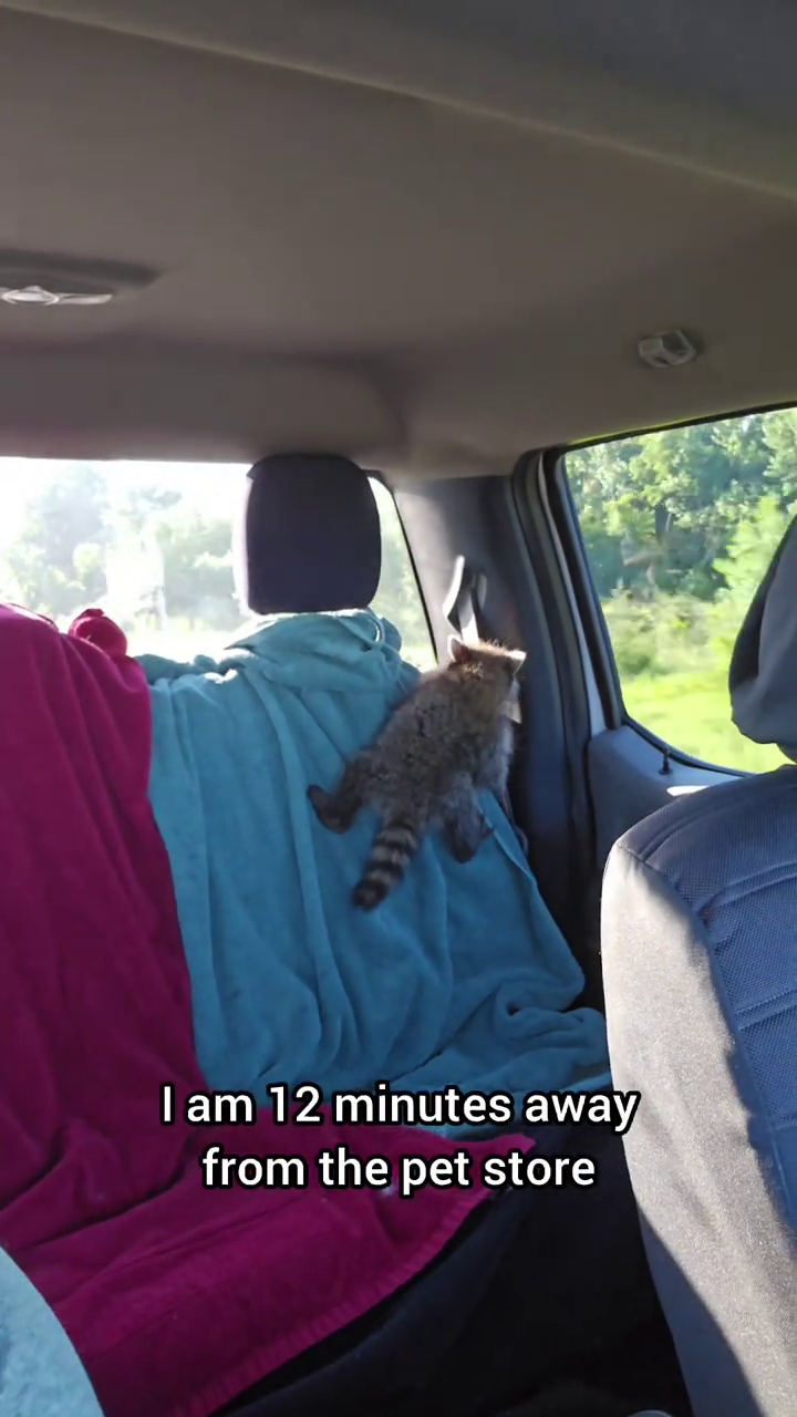 I am 12 minutes away from the pet store