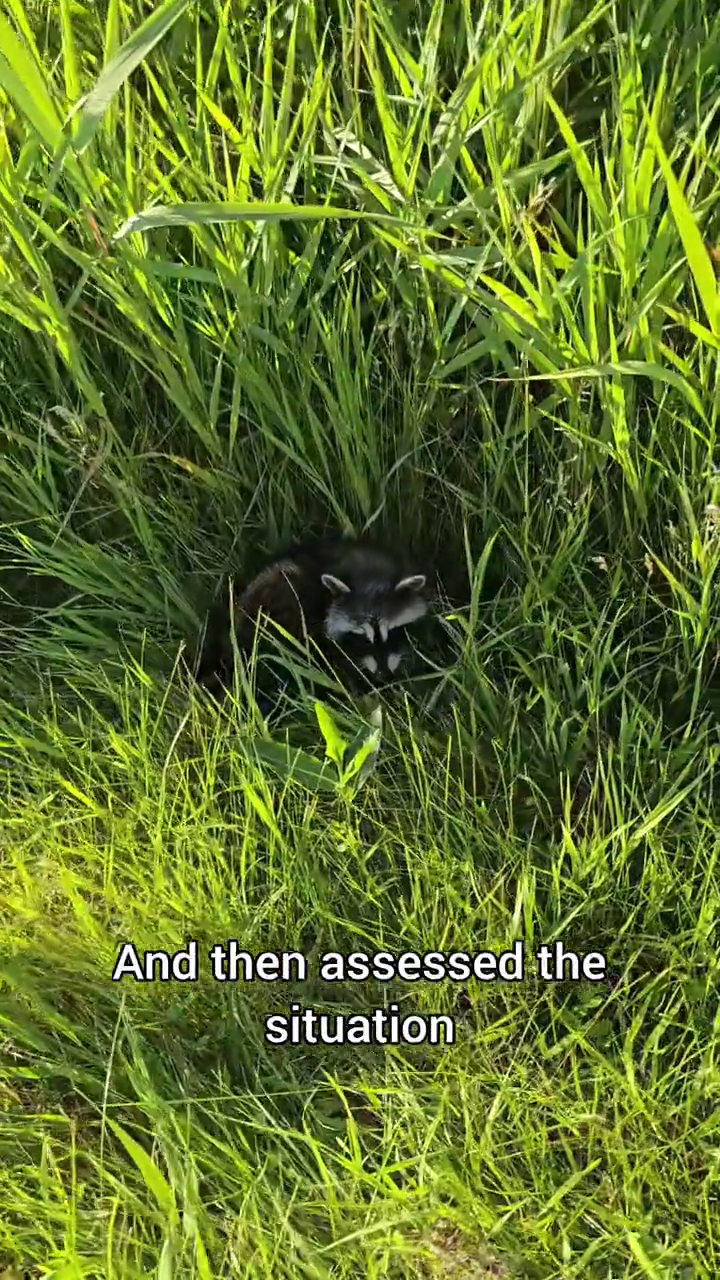 And then assessed the situation