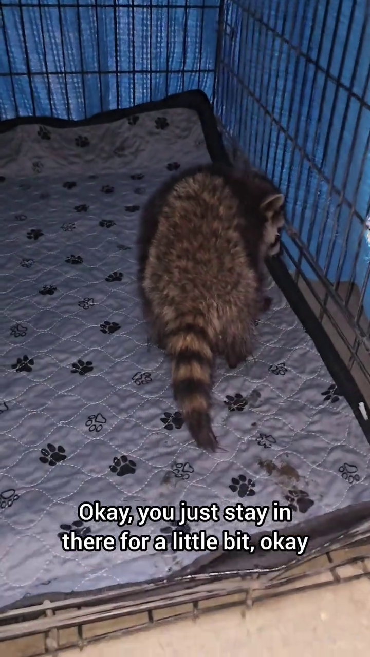 Okay, you just stay in there for a little bit, okay